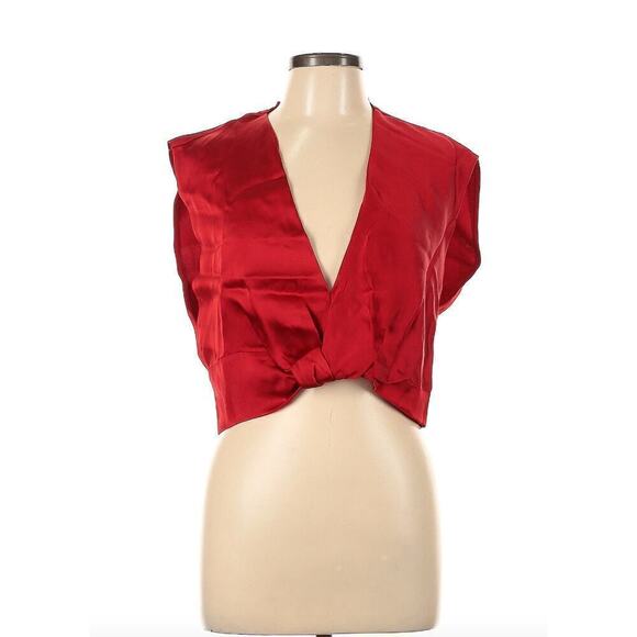 Zara Blouse Y2K Cropped Sleeveless Plunge Knot Front w/ SIde Zip, Size L - Picture 1 of 7
